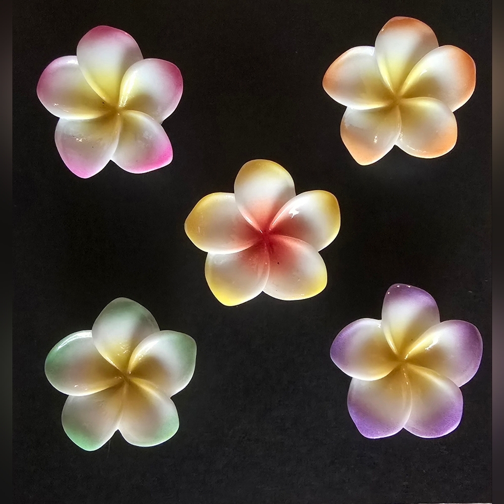 Colorful Tips Plumeria Flower Magnet Set